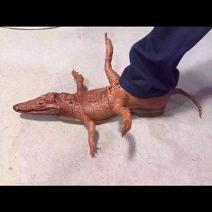 Meet your Posher, Robert